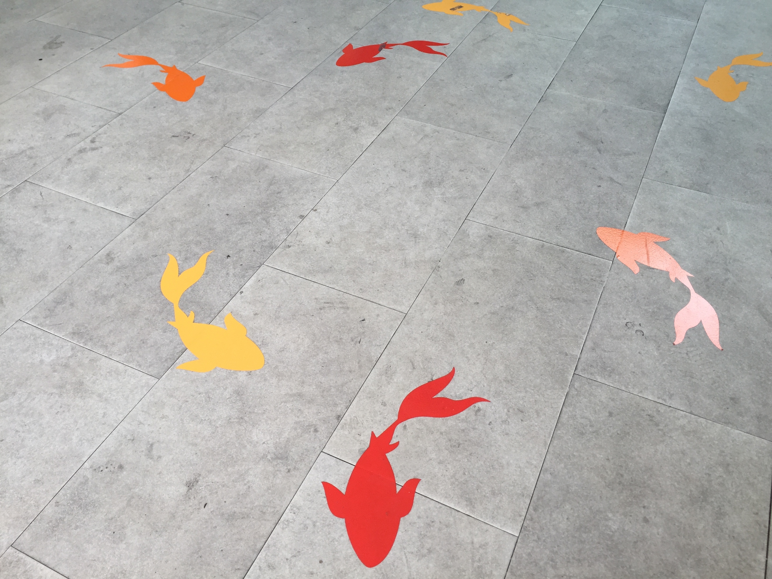 P & P, POP, Floor Graphics Fish